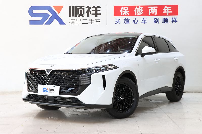 启辰大V 2021款 260T 爱豆版