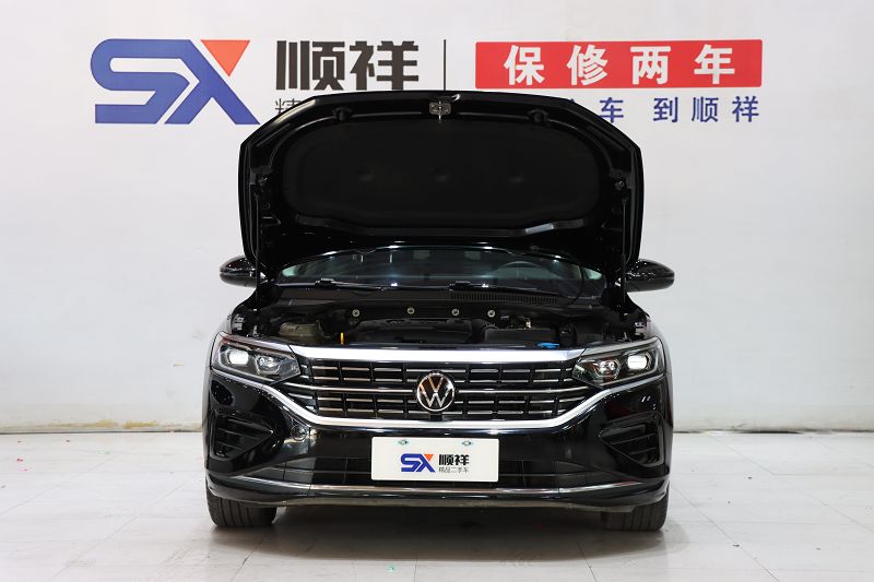 大众 帕萨特 2022款 380TSI 豪华版