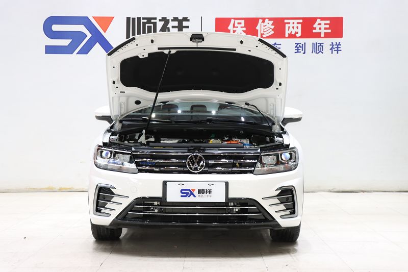 大众 途观L新能源 2021款 430PHEV 插电混动尊贵版