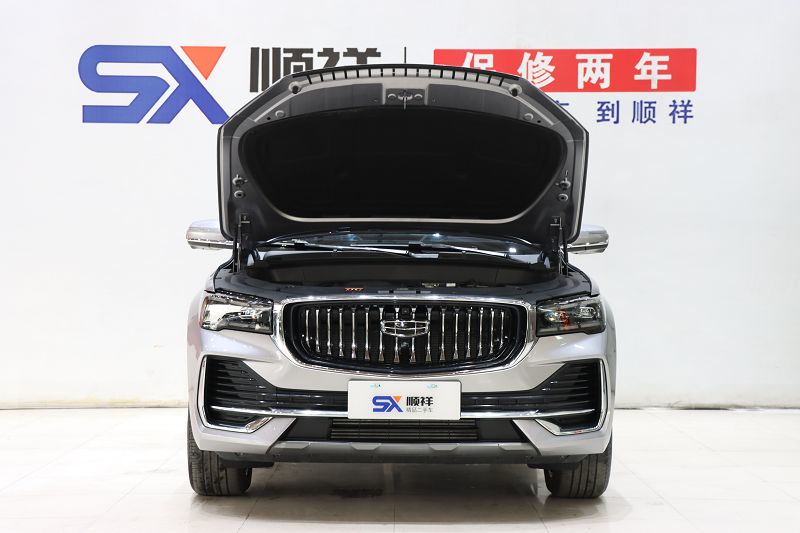 吉利汽车 星越L 2021款 2.0TD DCT EVO两驱尊贵型