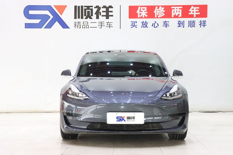 特斯拉Model 3 2019款 标准续航后驱升级版