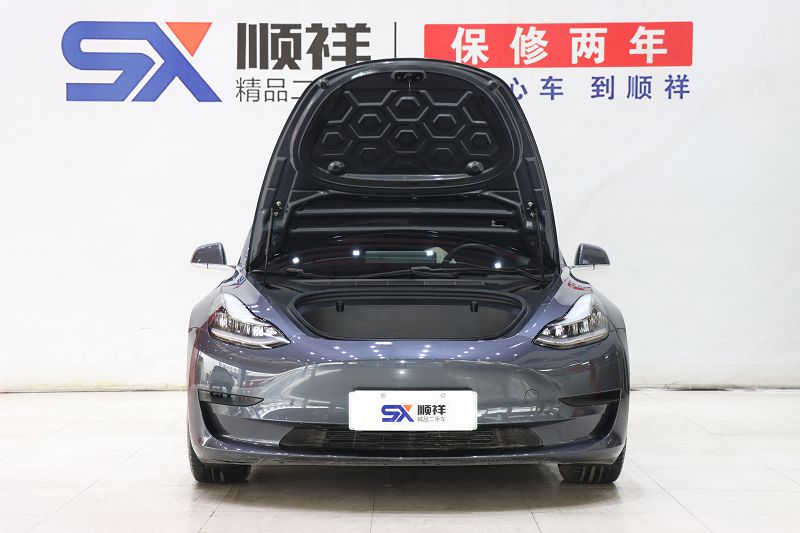 特斯拉Model 3 2019款 标准续航后驱升级版