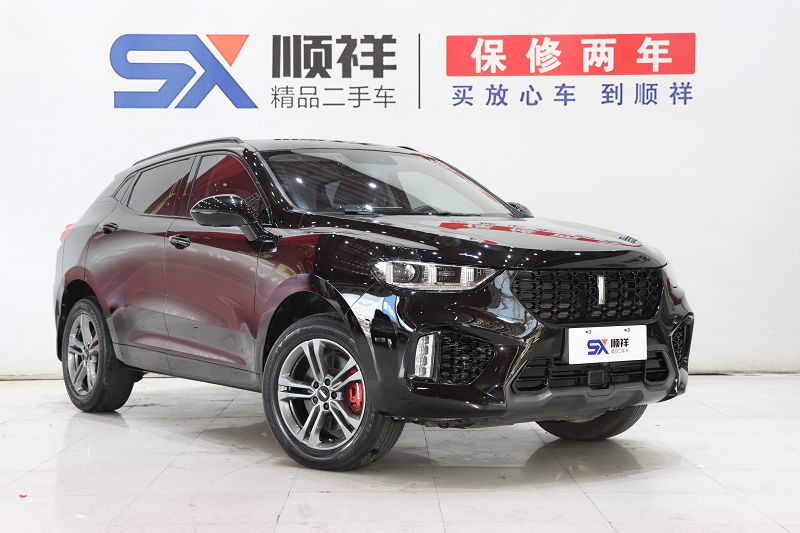 魏牌 VV5 2019款 1.5T 两驱颜先锋