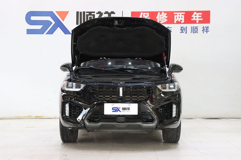魏牌 VV5 2019款 1.5T 两驱颜先锋