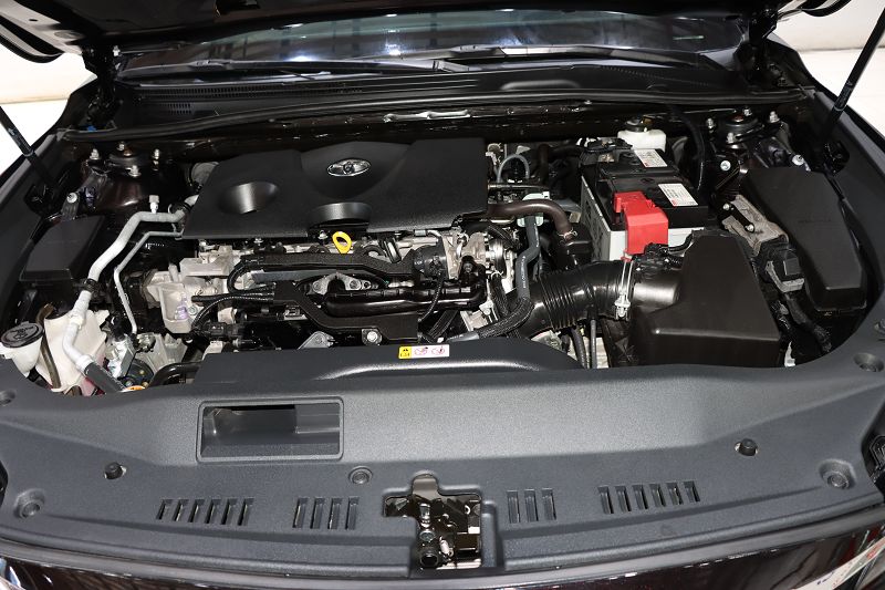丰田 亚洲龙 2019款 2.0L XLE尊享版 国VI