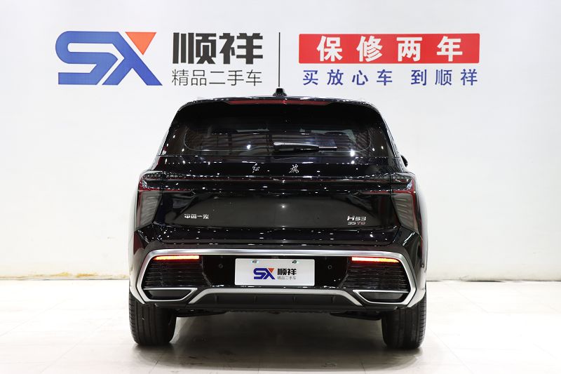 红旗HS3 2024款 1.5T 善为版