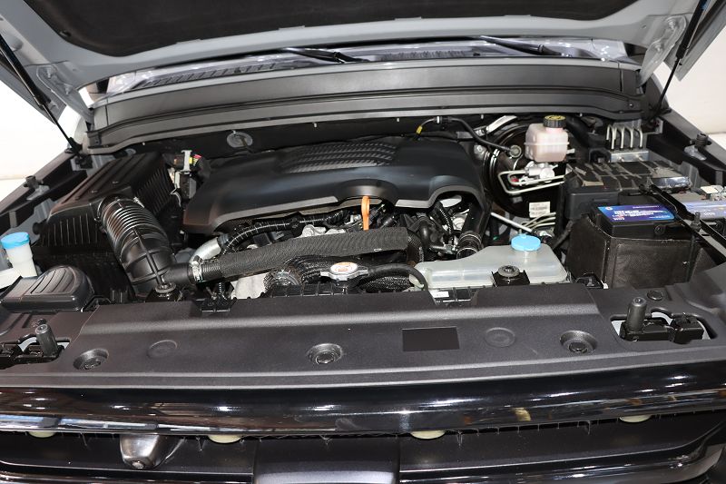 坦克300 2021款 越野版 2.0T 征服者