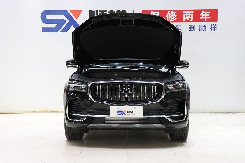 吉利汽车 星越L 2024款 2.0TD DCT EVO两驱长风版