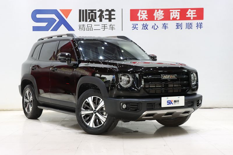 哈弗大狗 2022款 1.5T DCT两驱拉布拉多版