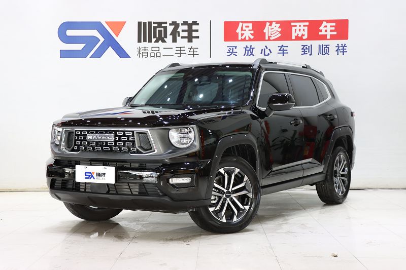 哈弗二代大狗 2023款 1.5T 两驱潮野版Plus