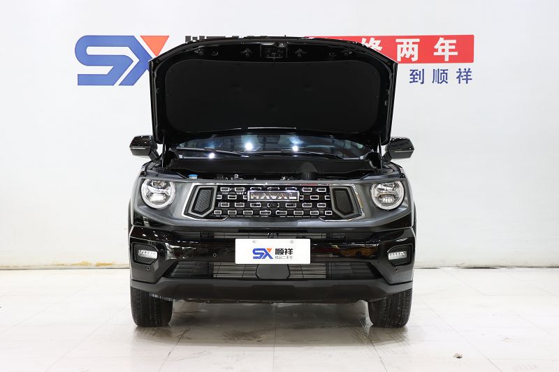 哈弗二代大狗 2023款 1.5T 两驱潮野版Plus