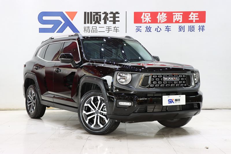 哈弗二代大狗 2023款 1.5T 两驱潮野版Plus