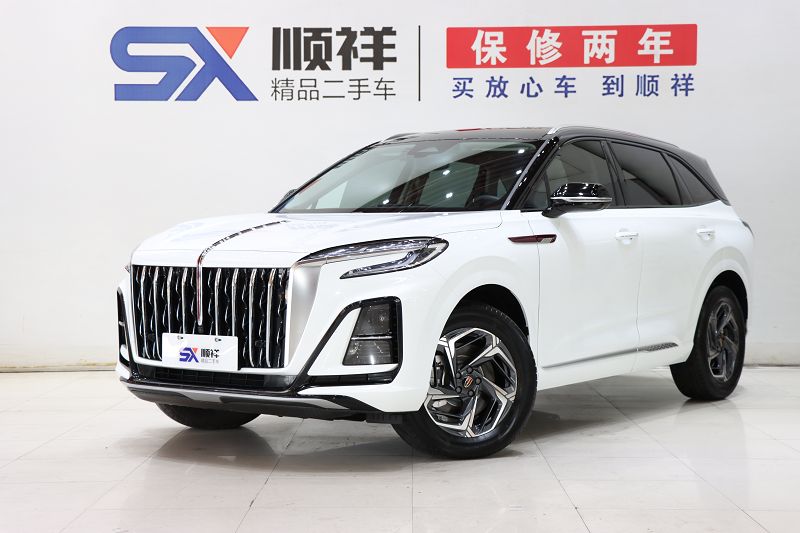 红旗HS3 2023款 1.5T 两驱善为版