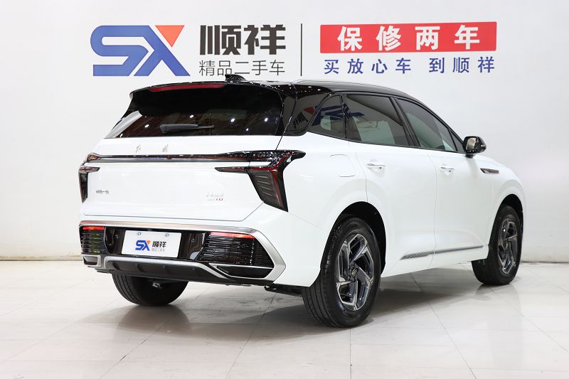 红旗HS3 2023款 1.5T 两驱善为版