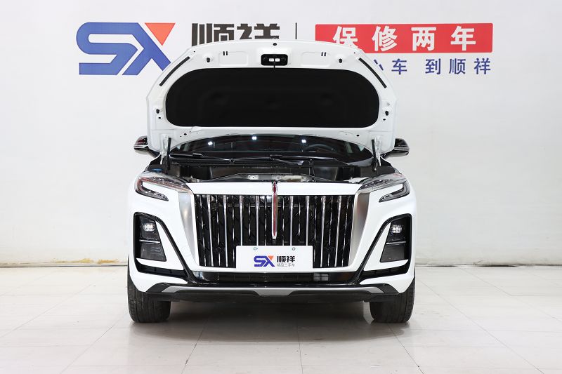 红旗HS3 2023款 1.5T 两驱善为版