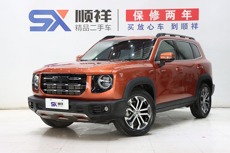 哈弗大狗 2021款 1.5T DCT两驱边牧版 国VI