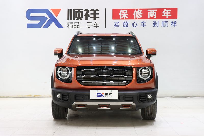 哈弗大狗 2021款 1.5T DCT两驱边牧版 国VI