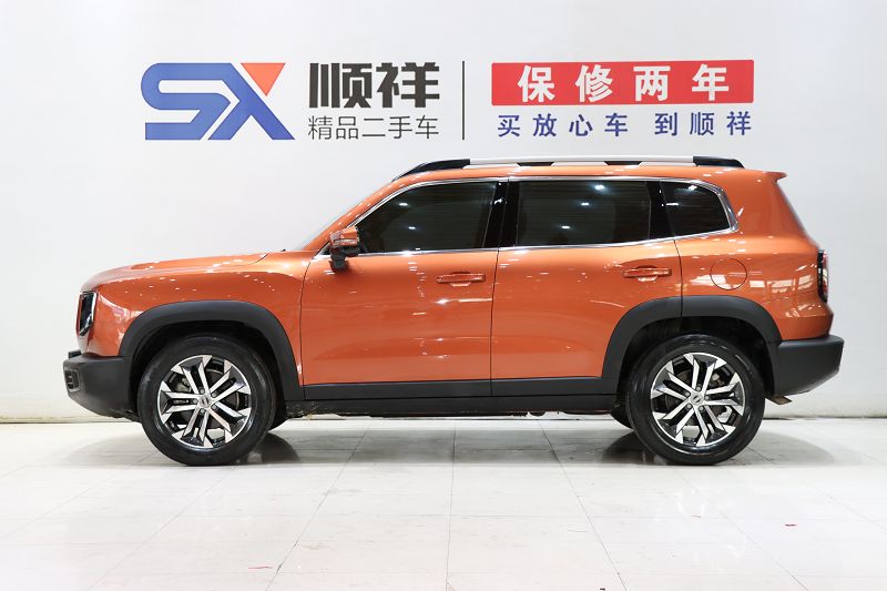 哈弗大狗 2021款 1.5T DCT两驱边牧版 国VI