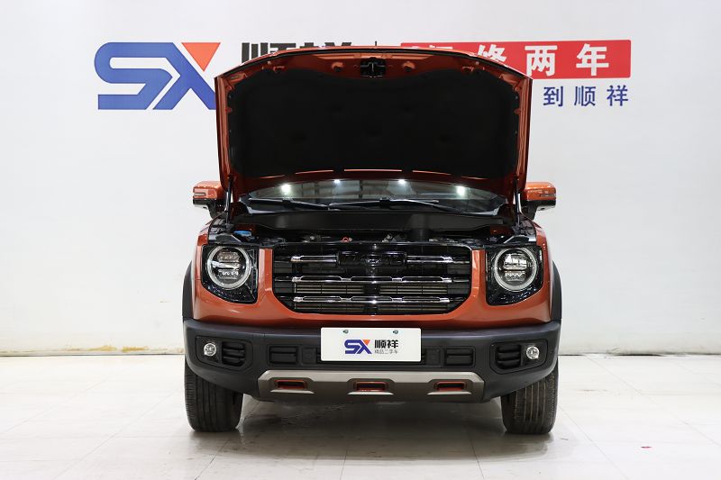 哈弗大狗 2021款 1.5T DCT两驱边牧版 国VI