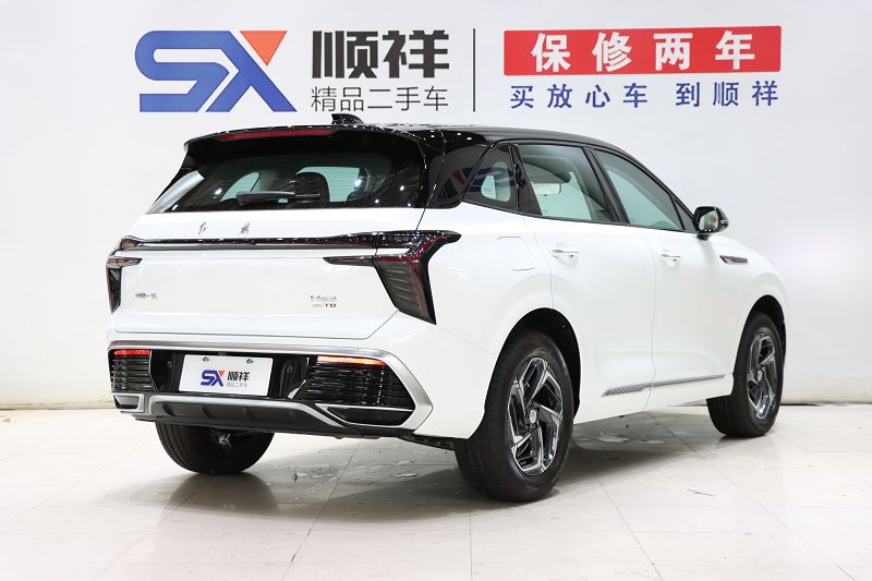 红旗HS3 2024款 1.5T 志为版