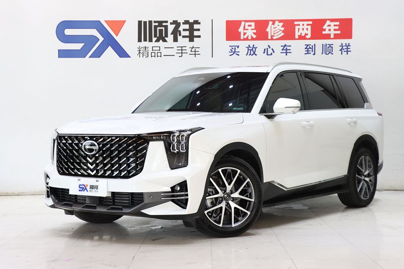 广汽传祺 传祺GS8 2025款 领航系列 2.0TGDI 两驱豪华版 5座