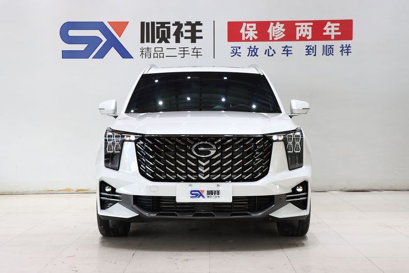 广汽传祺 传祺GS8 2025款 领航系列 2.0TGDI 两驱豪华版 5座