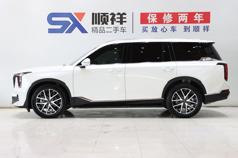 广汽传祺 传祺GS8 2025款 领航系列 2.0TGDI 两驱豪华版 5座