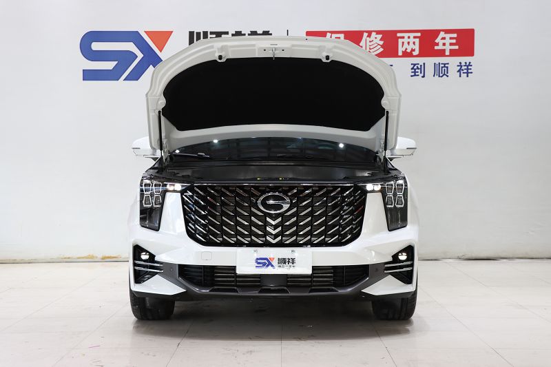 广汽传祺 传祺GS8 2025款 领航系列 2.0TGDI 两驱豪华版 5座