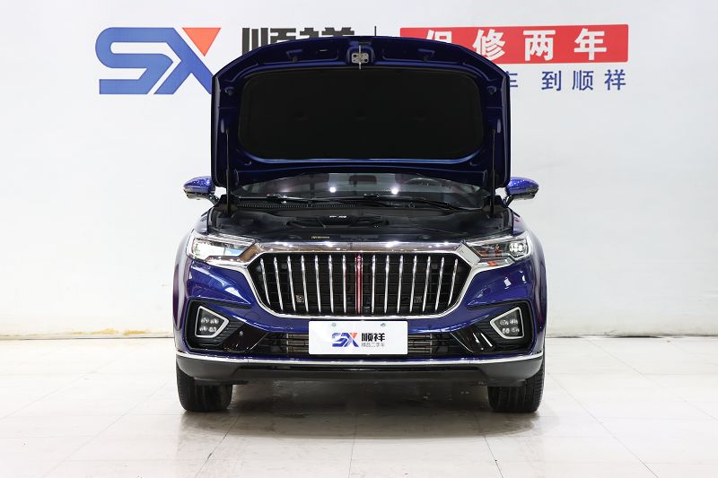 红旗HS5 2023款 2.0T 四驱旗享Pro版