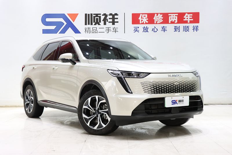 哈弗枭龙MAX 2023款 1.5L Hi4 105 四驱领航版