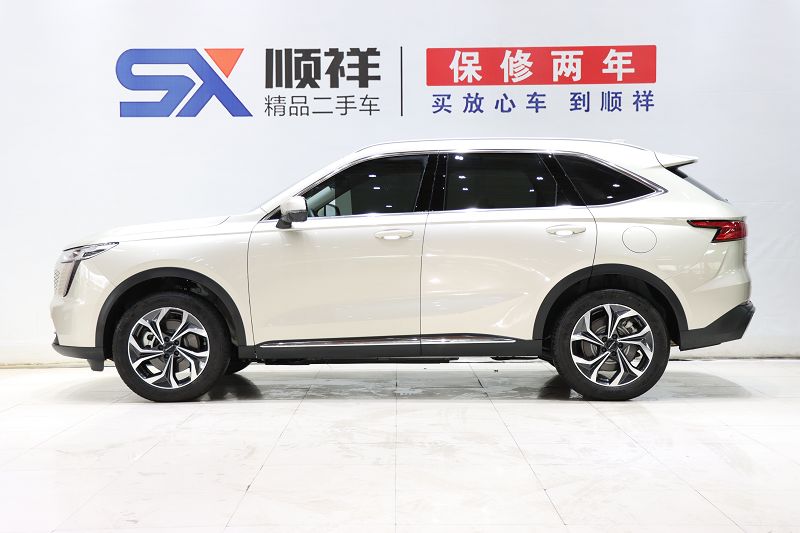 哈弗枭龙MAX 2023款 1.5L Hi4 105 四驱领航版