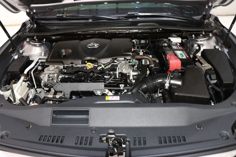 丰田 亚洲龙 2019款 2.5L Touring尊贵版 国VI