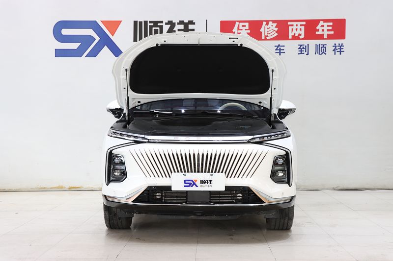 荣威 鲸 2022款 2.0T 虎版