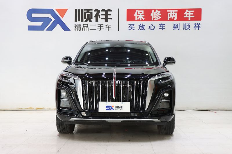 红旗HS3 2023款 1.5T 两驱善为版