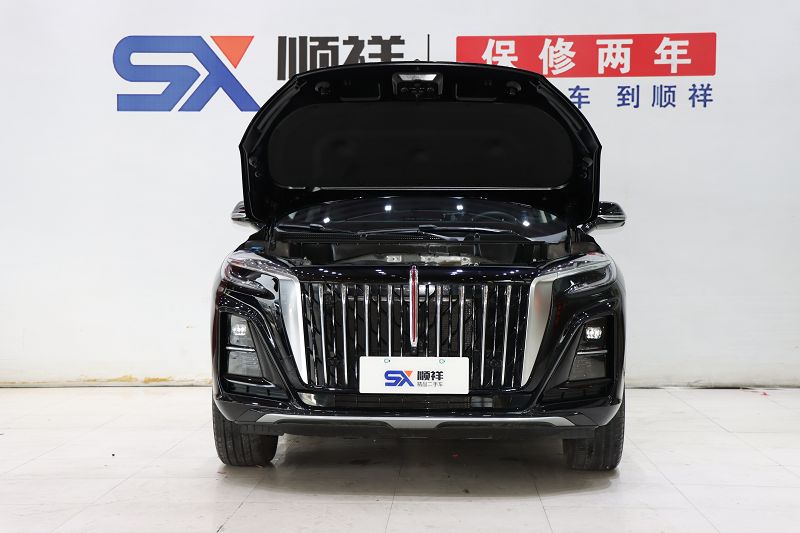 红旗HS3 2023款 1.5T 两驱善为版