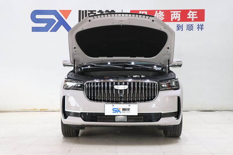 吉利汽车 星越L 2024款 油混 1.5T 天宫版